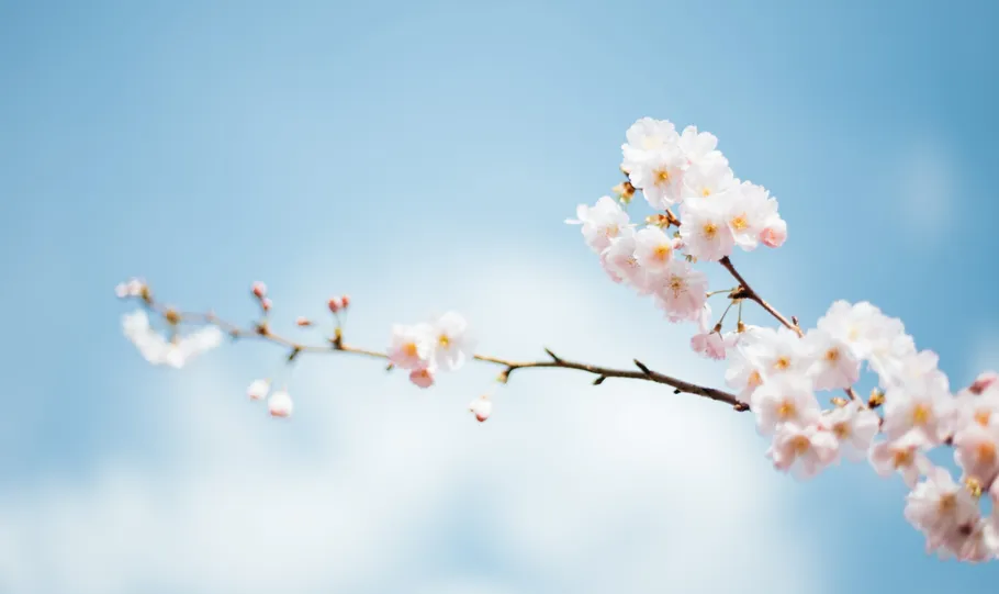 Equity Crowdfunding in Review: April 2019 - StartEngine
