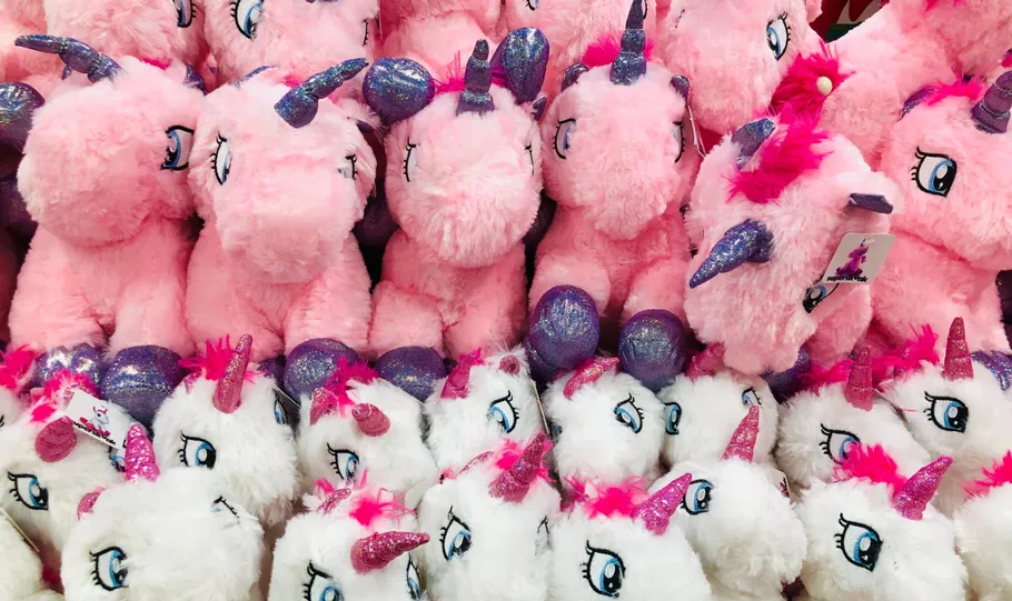 Understanding Startup Unicorns